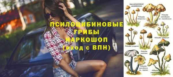 бошки Алексеевка